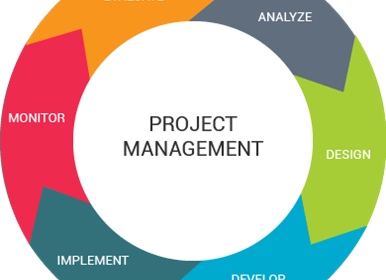 Software Project Management