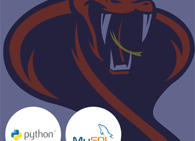 Developing Web Application using Python